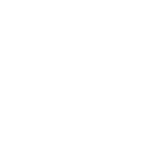 easternmysticallittlestore.com